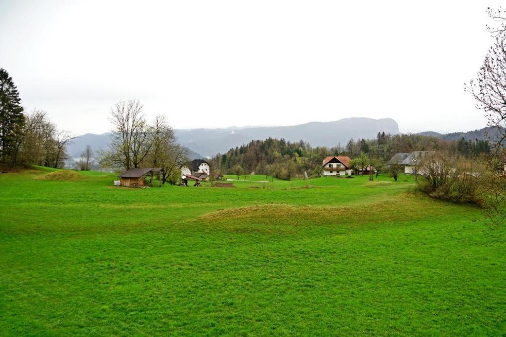 Studio Erzen Zgornje Gorje Exterior foto
